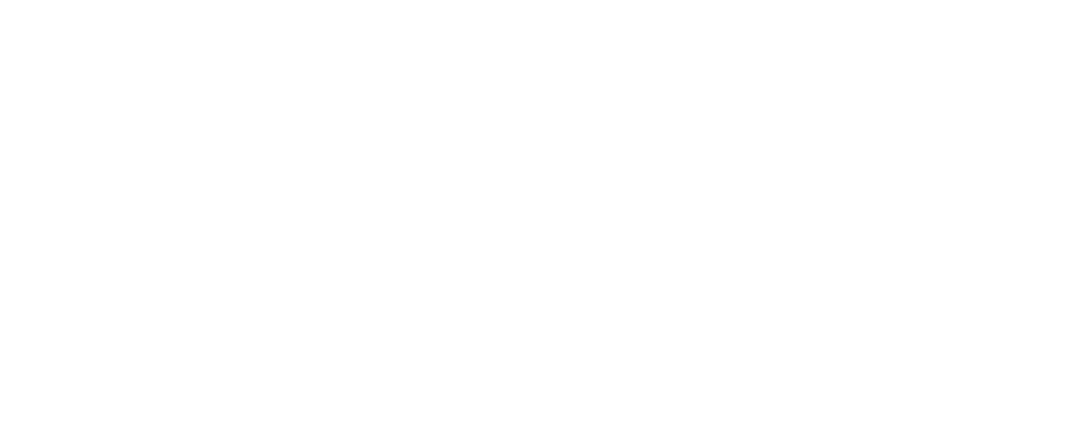 IEEE IAS PES ISIMM Chapter Logo